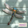 No.PA1850 Large Metal Dragonfly - Blue