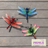 No.PA1859 Small Metal Dragonfly Wall Art - Green, Blue & Red