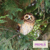 No.PQ1843 Small Standing Metal Brown Owl